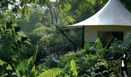 Four Seasons Tented Camp Golden Triangle - Photo #6