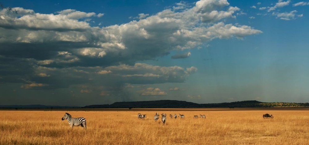 The Travel + Leisure World's Best Safari - Photo #4