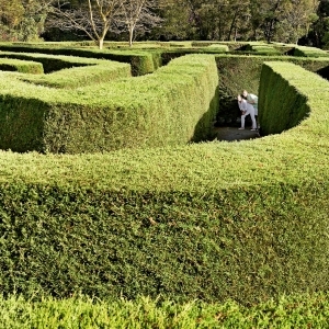 Fairmont Mount Kenya Safari Club - Life Size Maze - Book on ClassicTravel.com