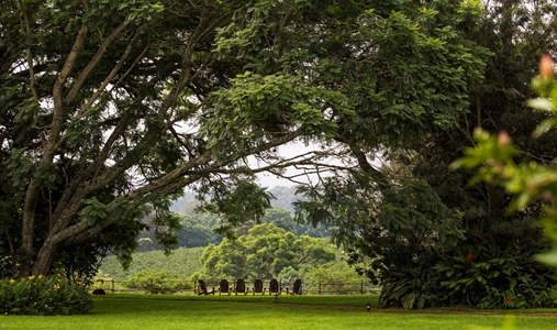 Elewana the Manor at Ngorongoro - Gardens - Book on ClassicTravel.com