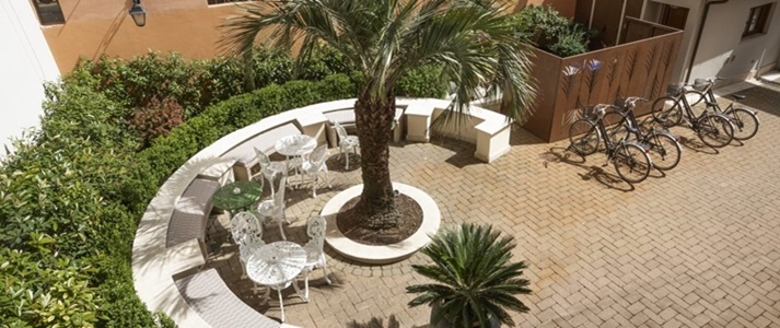 Palm Suite - Courtyard