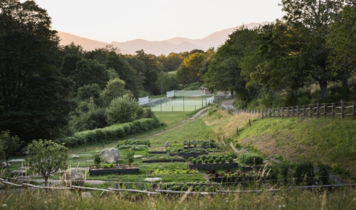 Oasyhotel - Vegetable Garden and Tennis Court