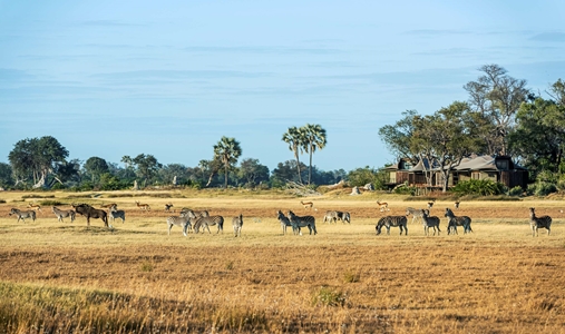 Xigera Safari Lodge - Wildlife in Front of Lodge - Book on ClassicTravel.com