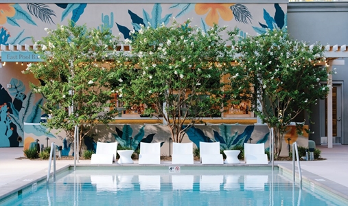 Park MGM Las Vegas, a Tribute Portfolio Resort - Pool, Lounger - Book on ClassicTravel.com