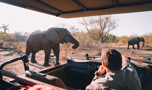 Jabulani - Game Drive - Book on ClassicTravel.com