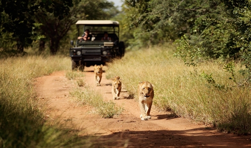 Jabulani - Game Drives - Book on ClassicTravel.com