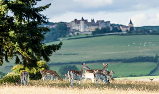 Château Sainte Sabine - Parc - Book on ClassicTravel.com